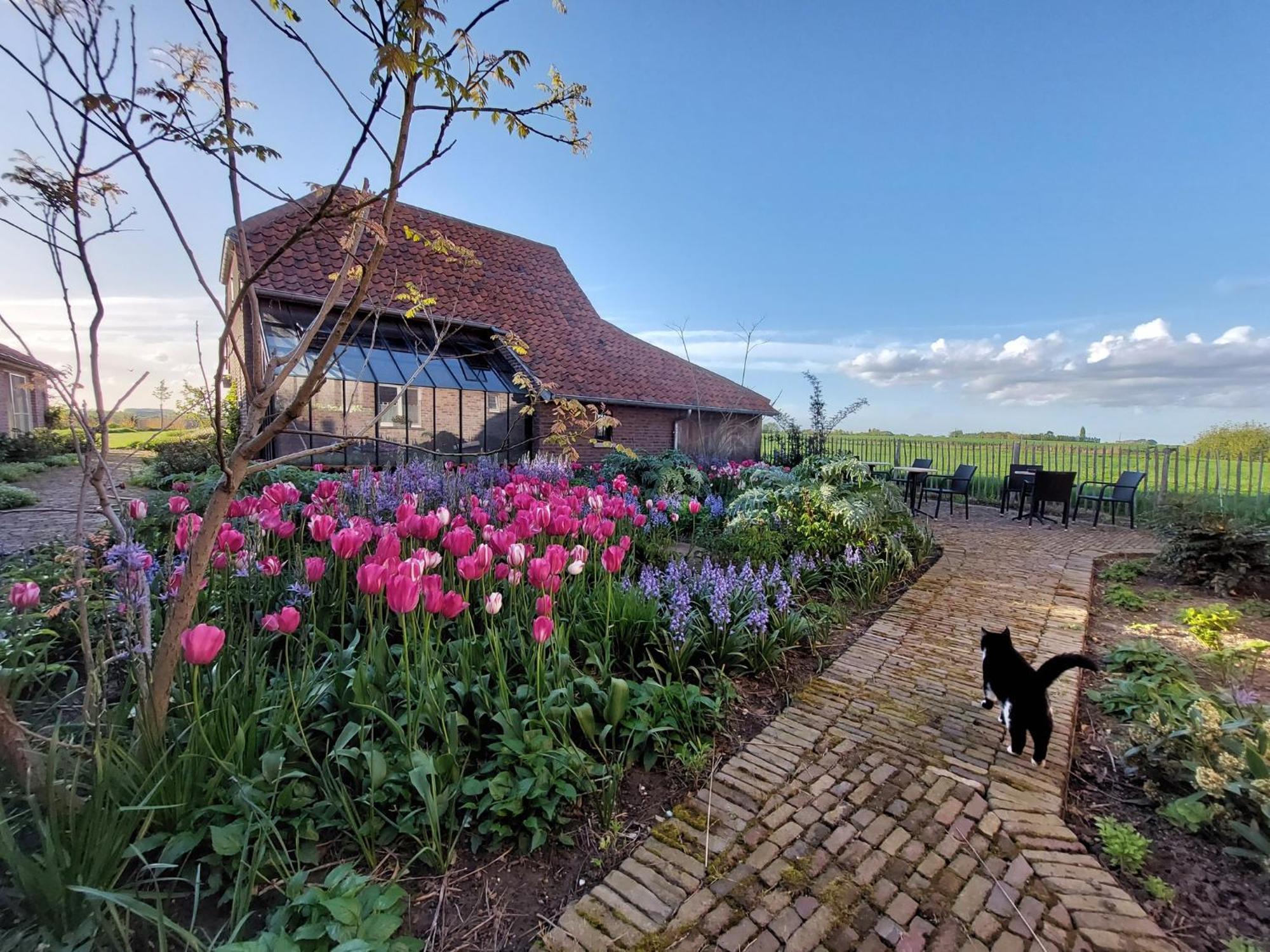 B&B Stefans Pottery Poperinge Bagian luar foto