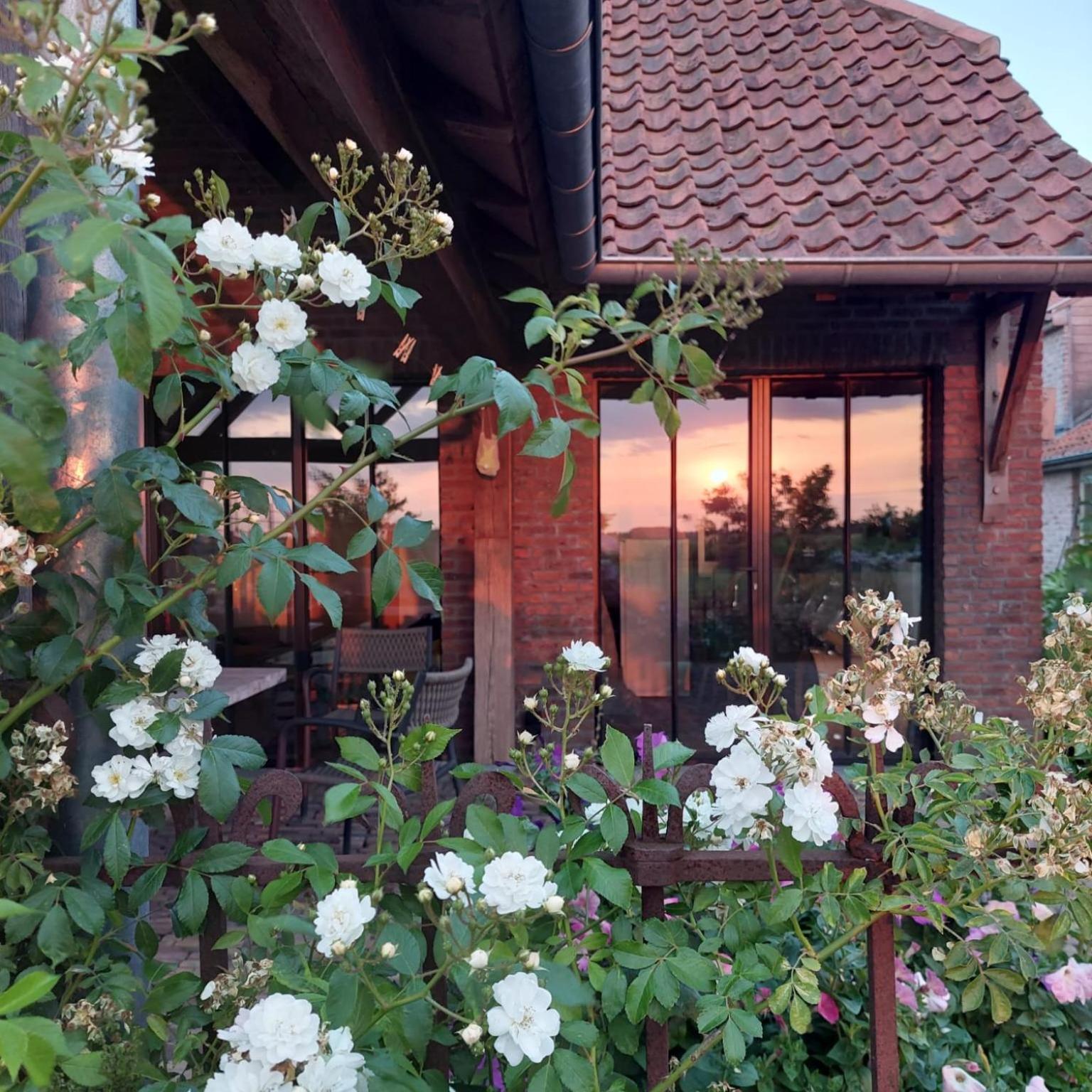 B&B Stefans Pottery Poperinge Bagian luar foto