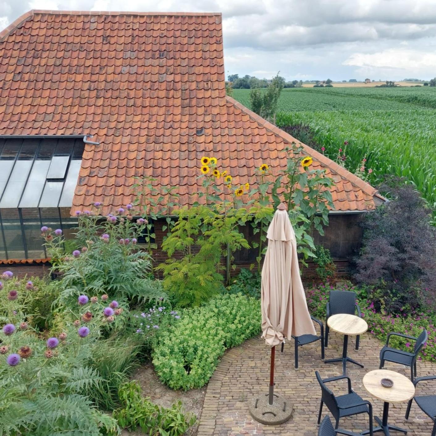 B&B Stefans Pottery Poperinge Bagian luar foto